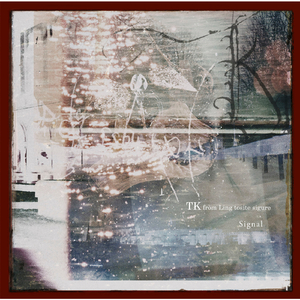 美女免费观看网站
