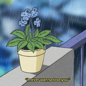 美女免费观看网站
