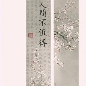 美女免费观看网站
