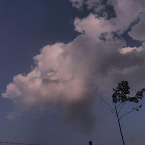 美女免费观看网站
