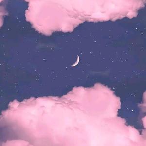 美女免费观看网站
