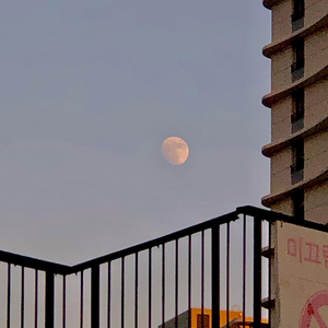 美女免费观看网站
